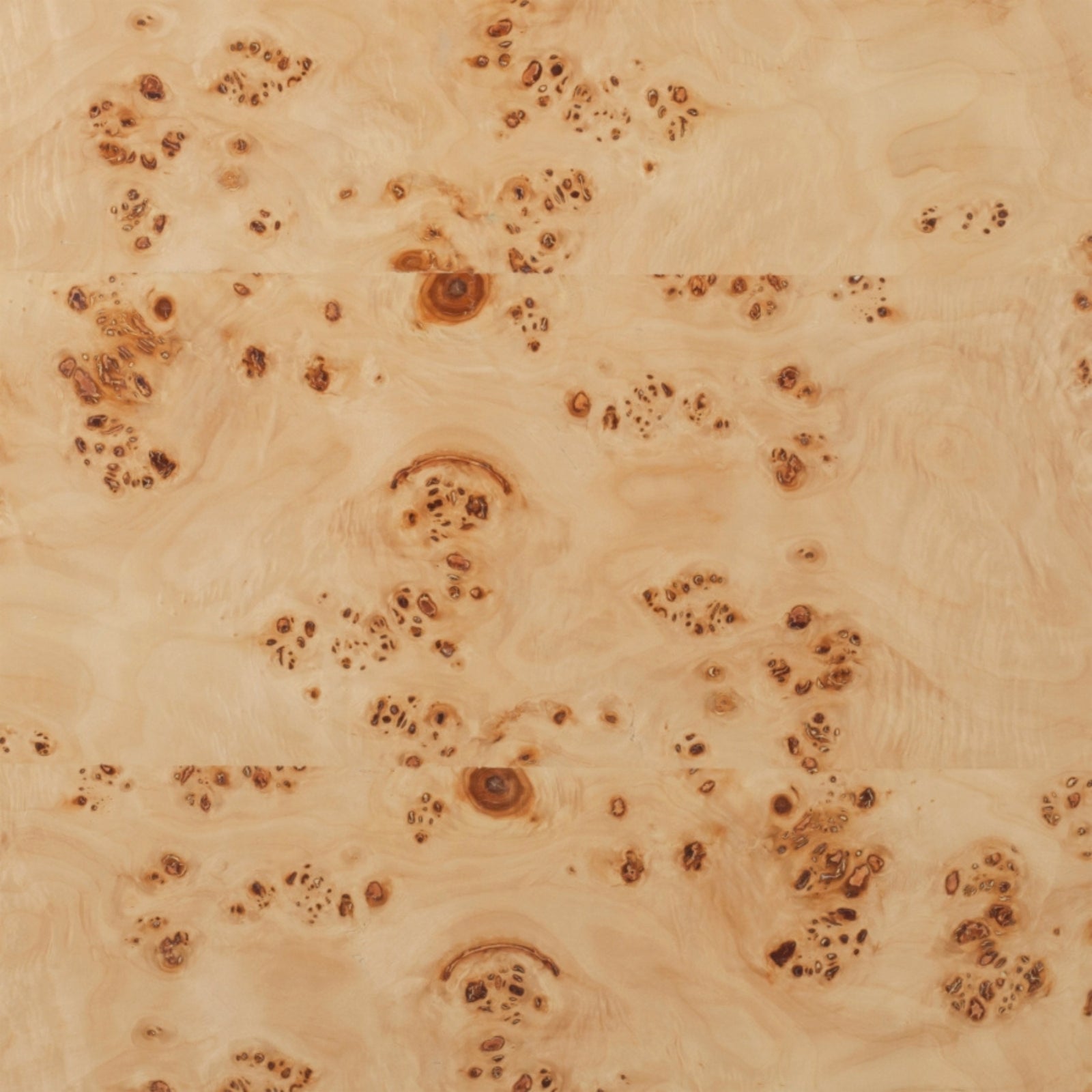 Maxine Burl Coffee Table