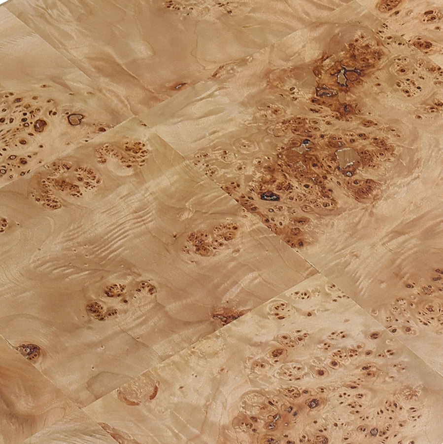 Selene Burl Coffee Table