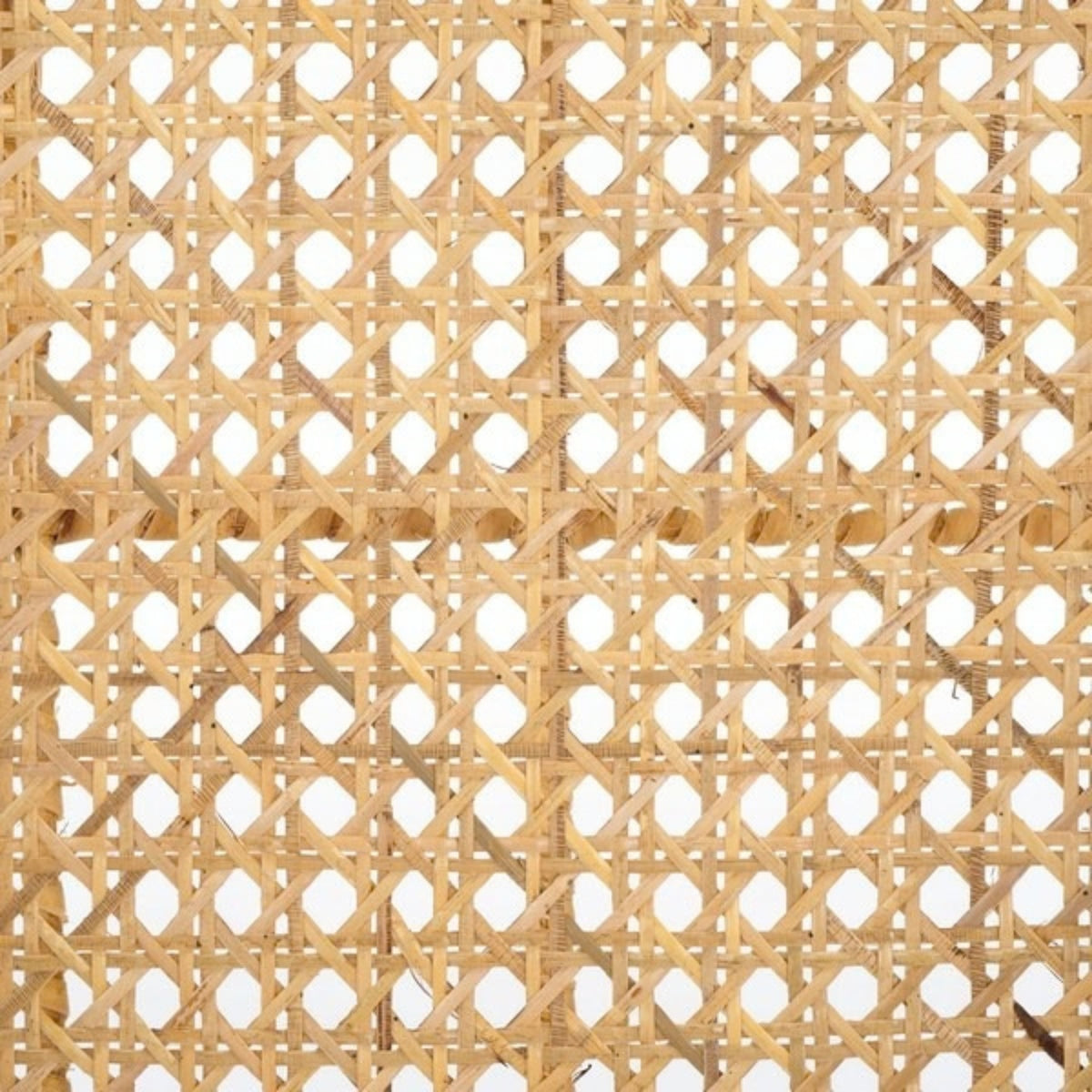 Fresca Dining Chair