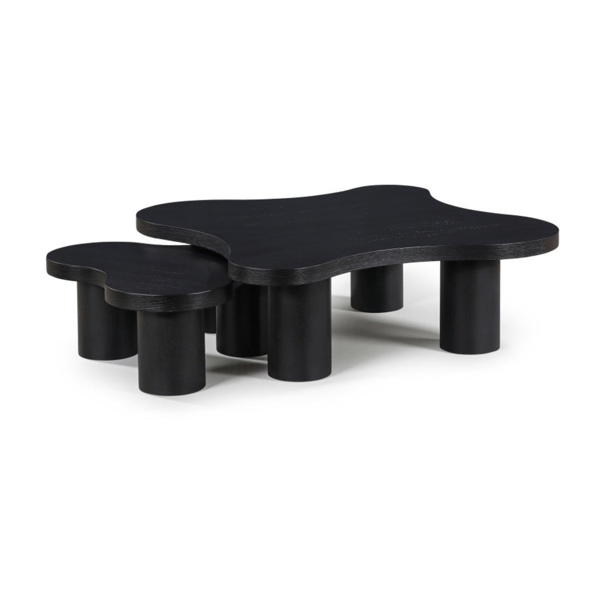 Aldo Coffee Table | 2 Piece Set