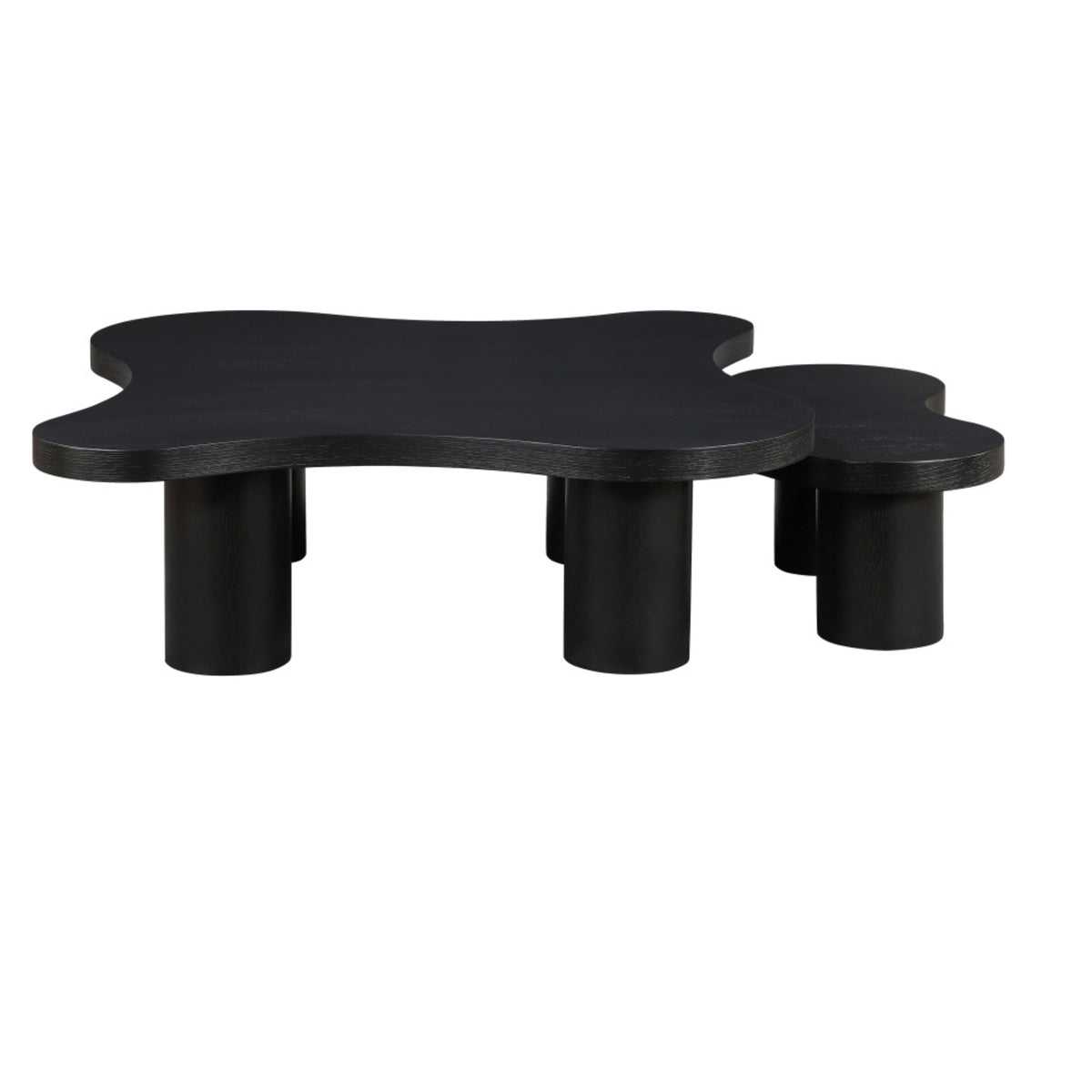 Aldo Coffee Table | 2 Piece Set
