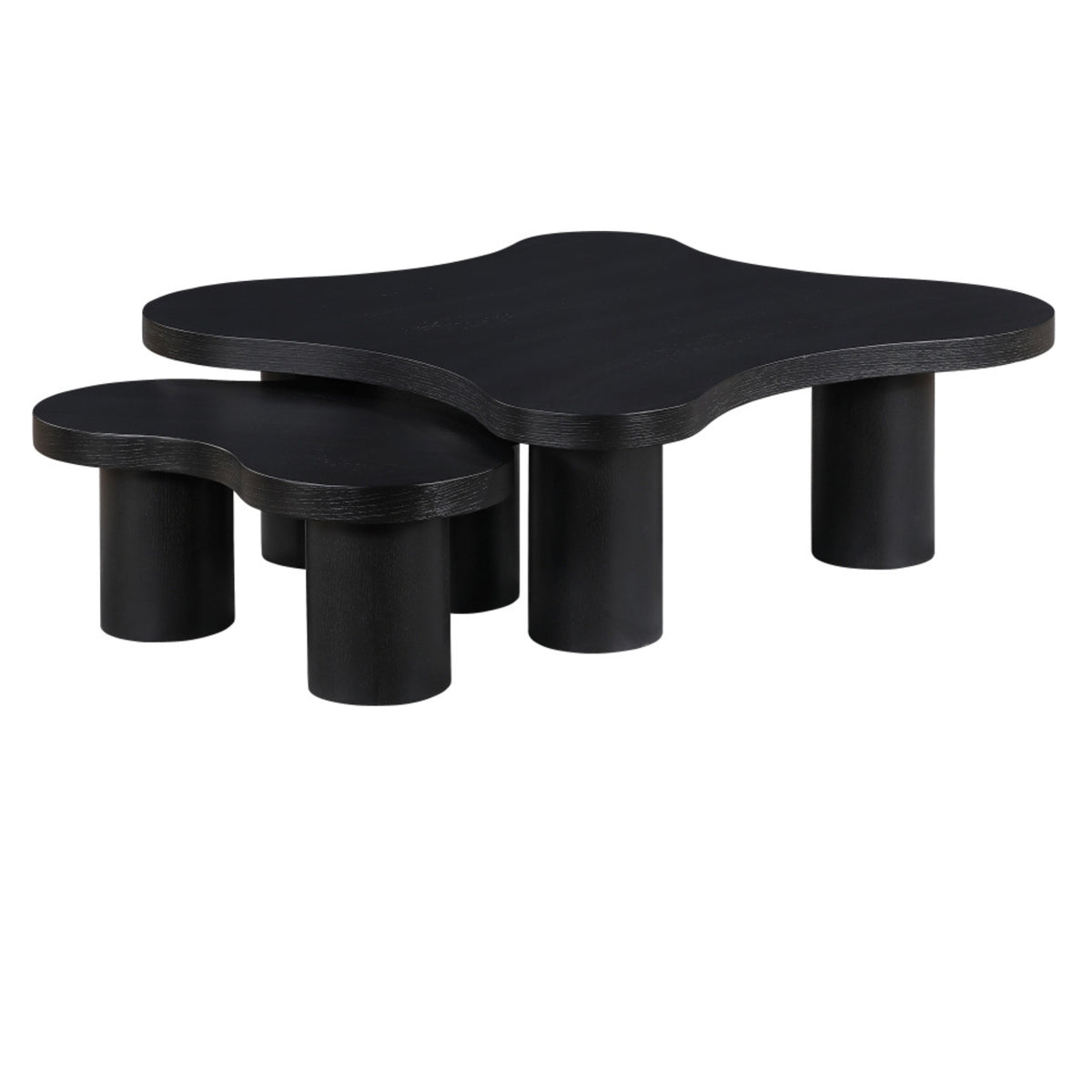 Aldo Coffee Table | 2 Piece Set