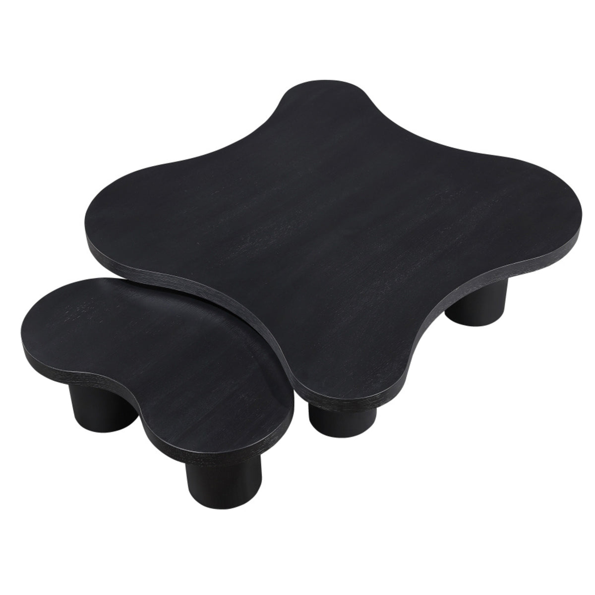 Aldo Coffee Table | 2 Piece Set
