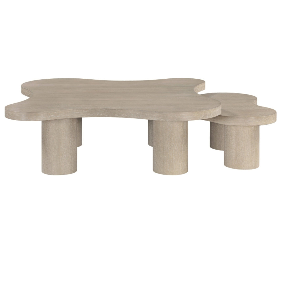 Aldo Coffee Table | 2 Piece Set