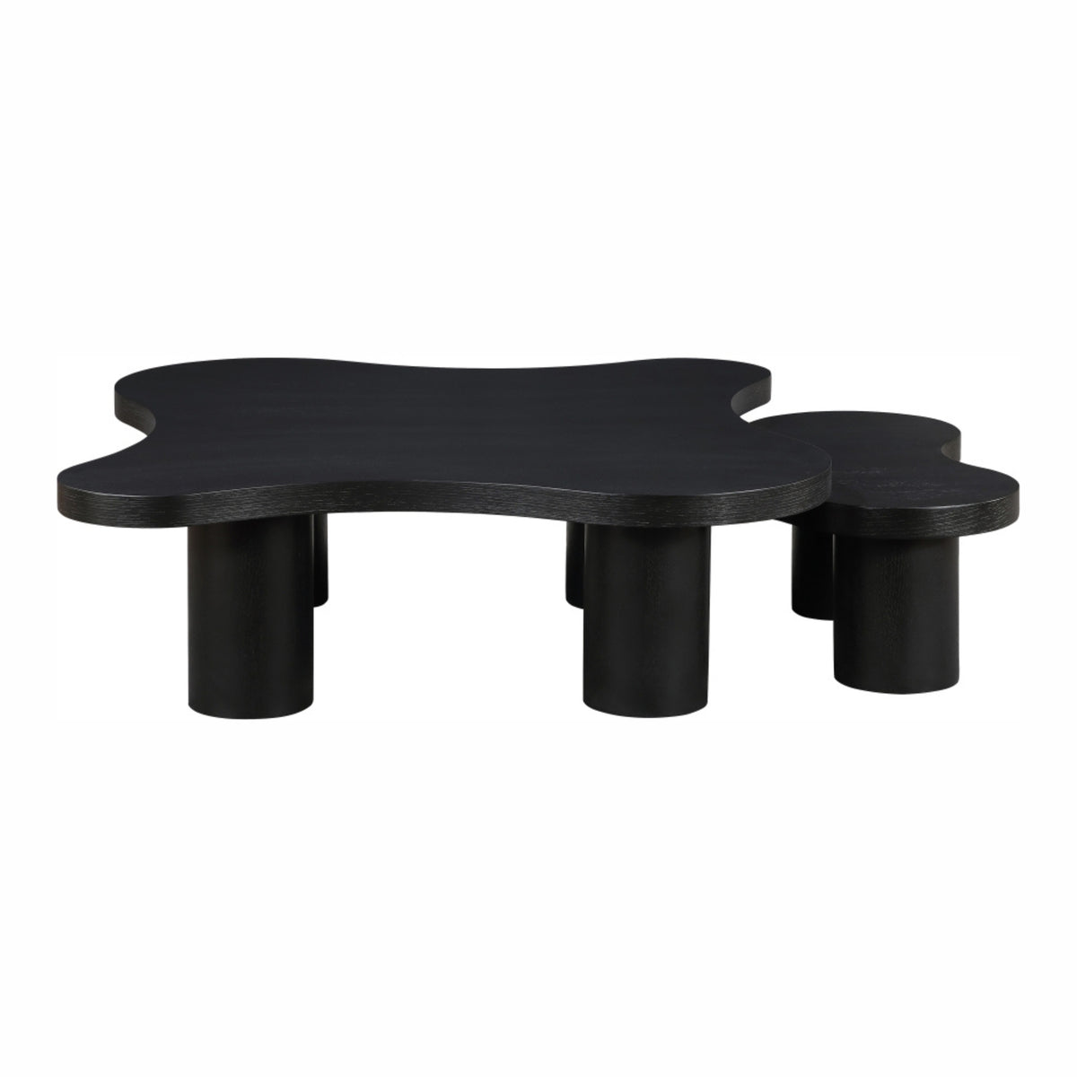 Aldo Coffee Table | 2 Piece Set