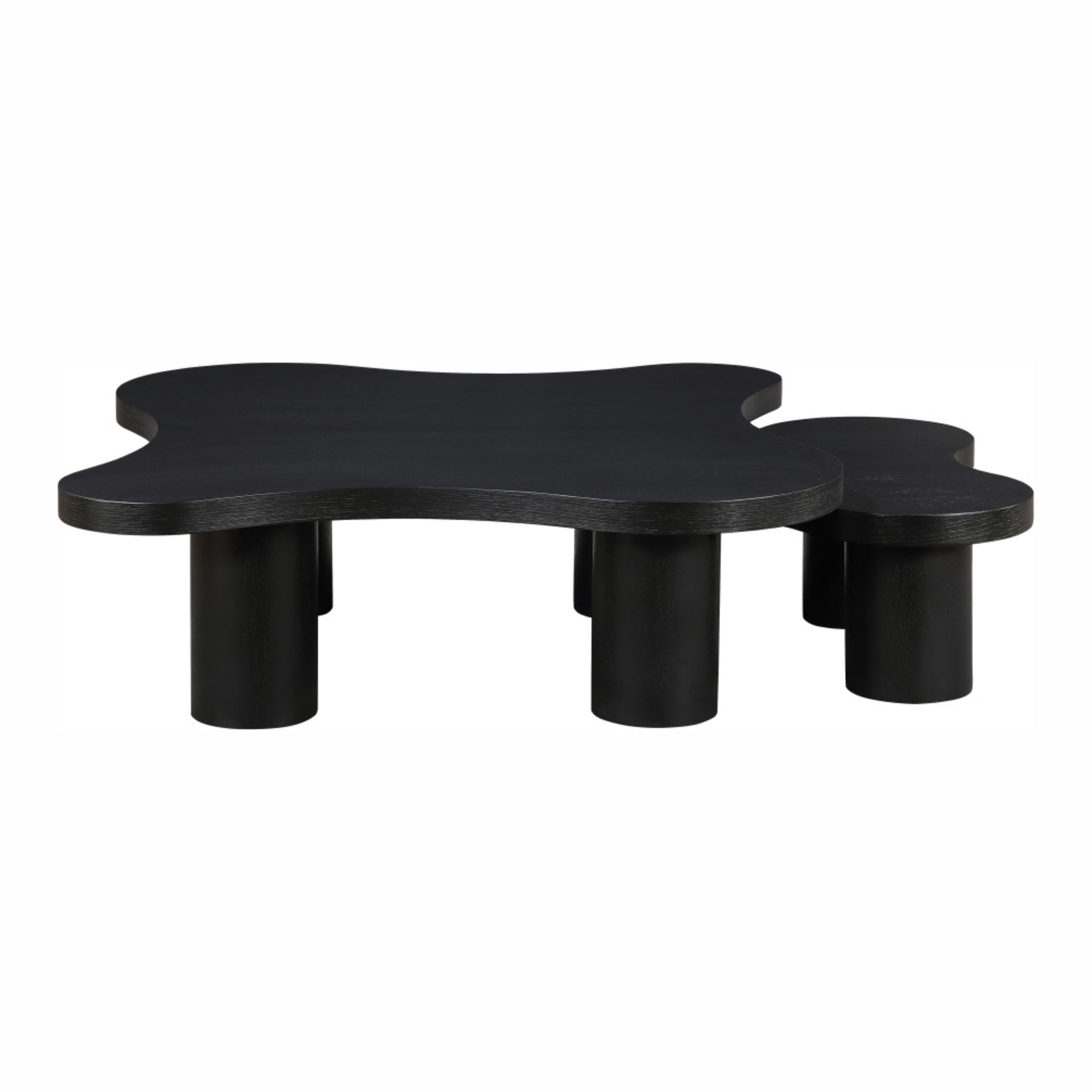 Aldo Coffee Table | 2 Piece Set