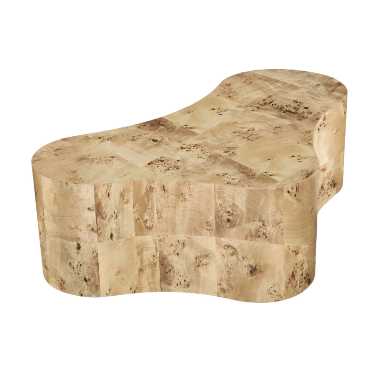 Liora Coffee Table
